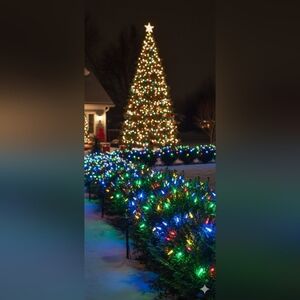 Christmas String Lights, 50-Count Black Wire Light Set, Battery Operated (EUC)